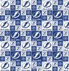 Tampa Bay Lightning Block