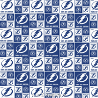 Tampa Bay Lightning Block