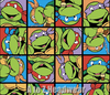 TMNT Ninja Turtles Small Block