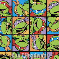 TMNT Ninja Turtles Small Block