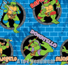 TMNT Ninja Turtles Sewer Holes