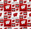 Wisconsin Badgers Block