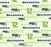 Seattle Seahawks White